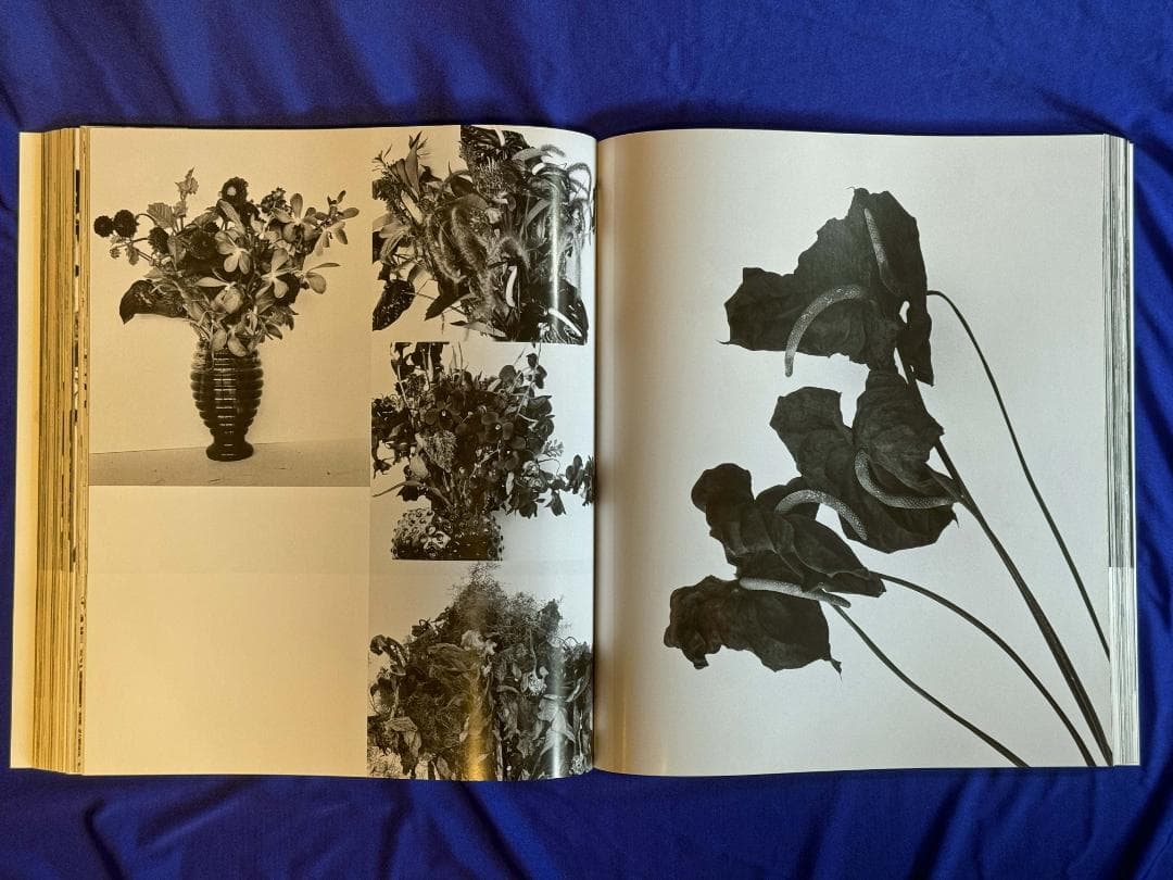 直筆サイン★「愛ノ花」荒木経惟（Nobuyoshi Araki）★貴重未読