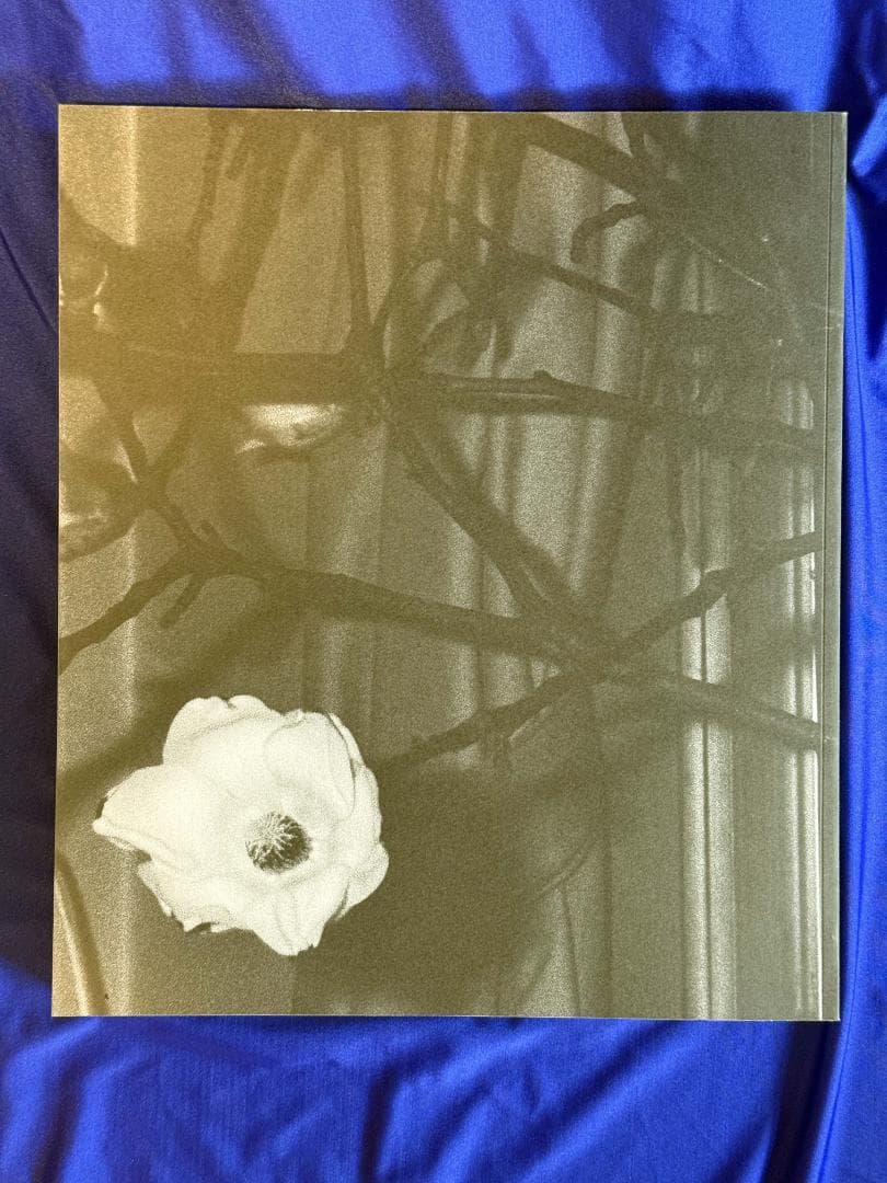 直筆サイン★「愛ノ花」荒木経惟（Nobuyoshi Araki）★貴重未読