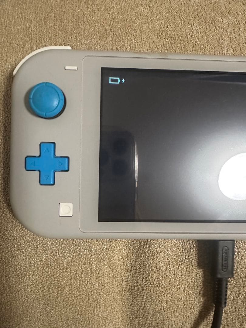 Nintendo Switch Lite 本体のみ