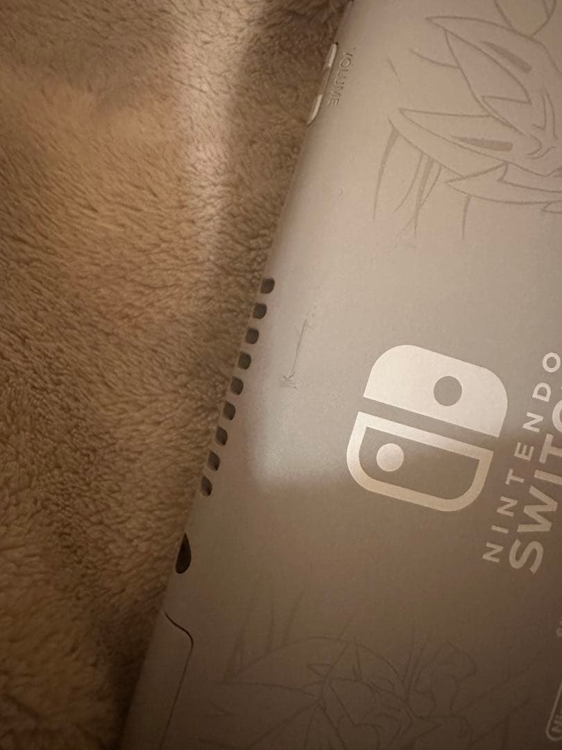 Nintendo Switch Lite 本体のみ