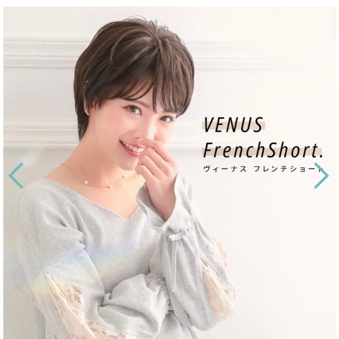 【値下げしました】医療用ウィッグ ショート/［アクアドール］