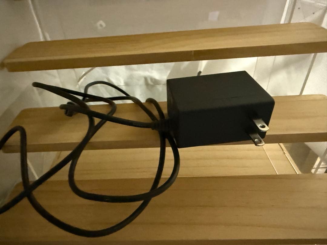 マ*パ様 任天堂Switch lite