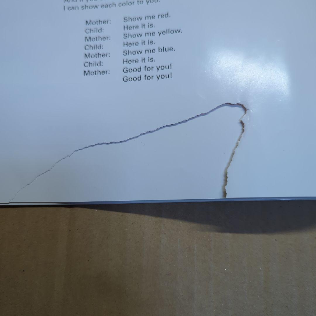 DWEセットプレイアロング(Play Along)欠品あり＋その他DVD等