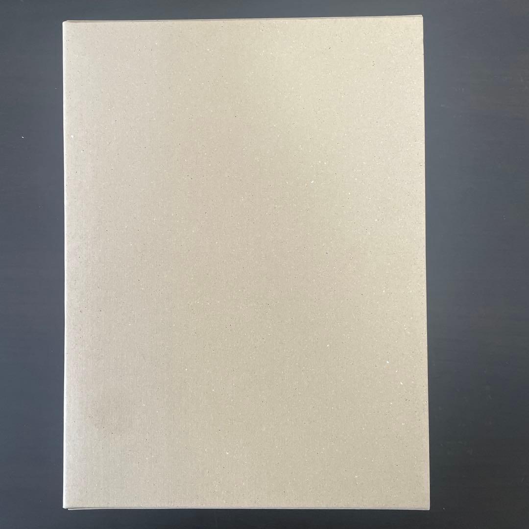 カネコアヤノ　日本武道館ワンマンショー2021