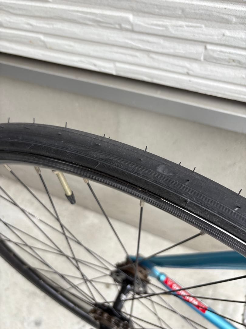 ブローチャーズピストリーダーバイクLEADER BIKECUREサイズL