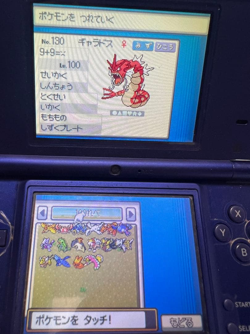 ポケットモンスター DSソフト ハートゴールド 映画館アルセウス