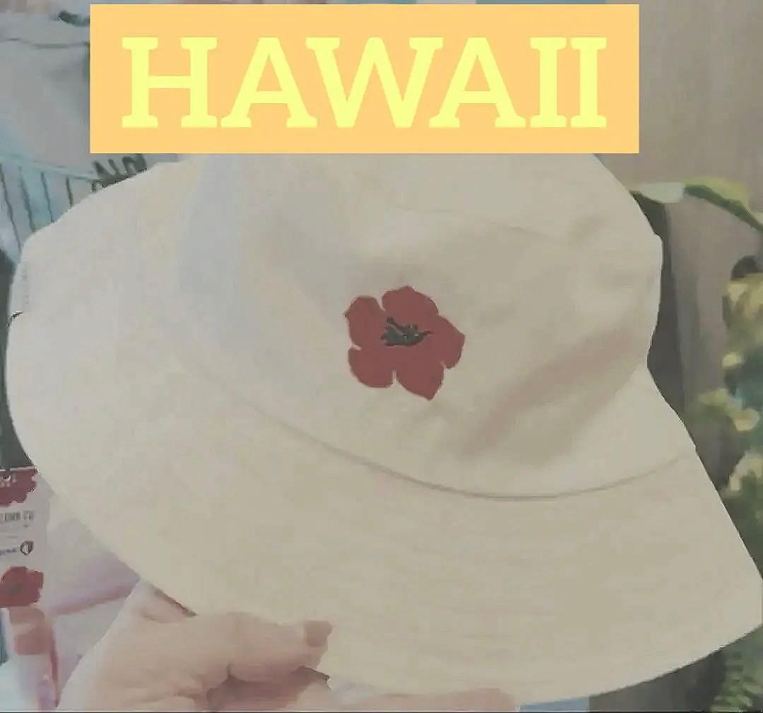 ♪新品　ハワイアンエアライン　タグアロハコラボ　ハット