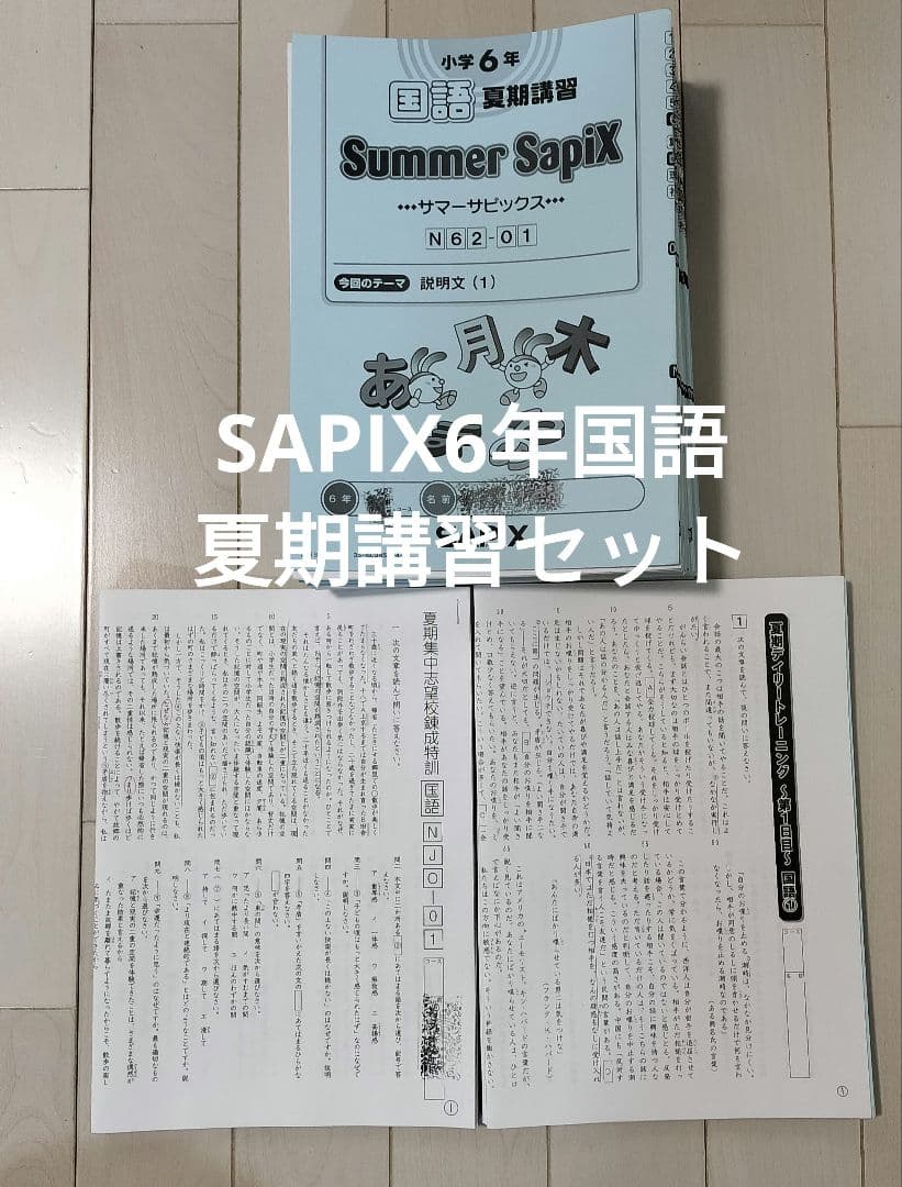 SAPIX6年国語　夏期講習セット