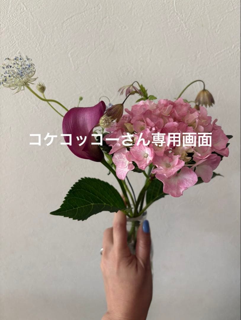 ＊コケコッコーさん専用＊