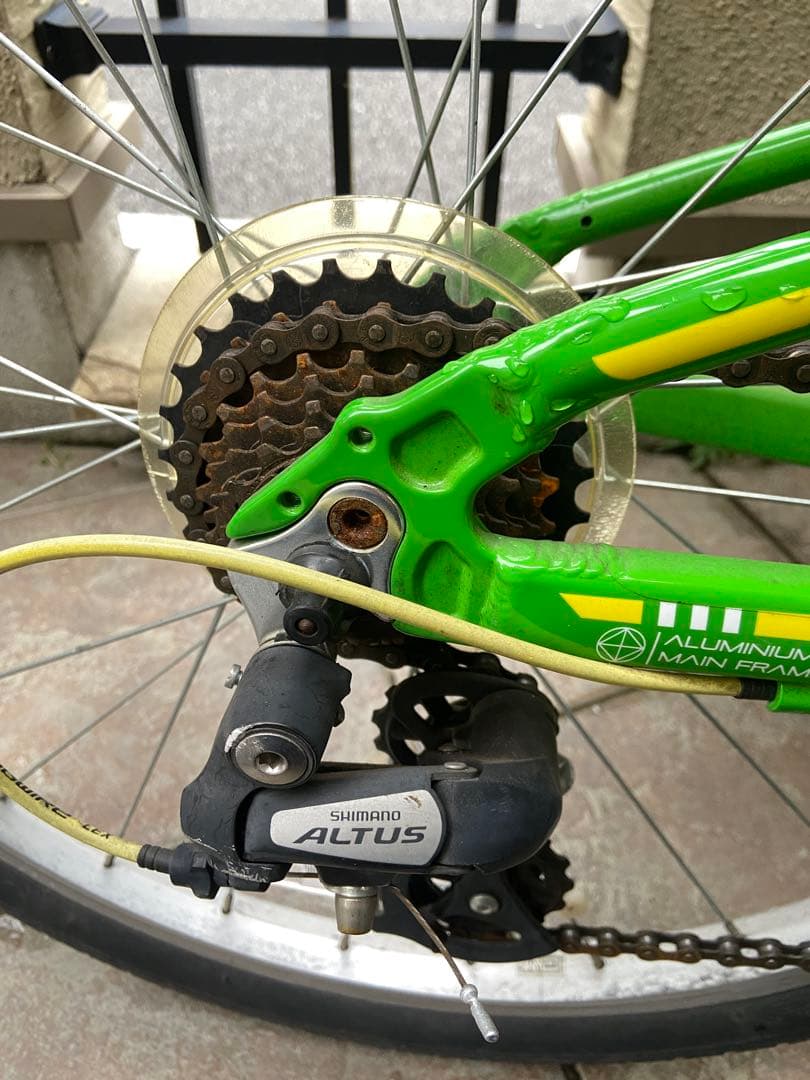 Carrera ジュニア自転車 緑色