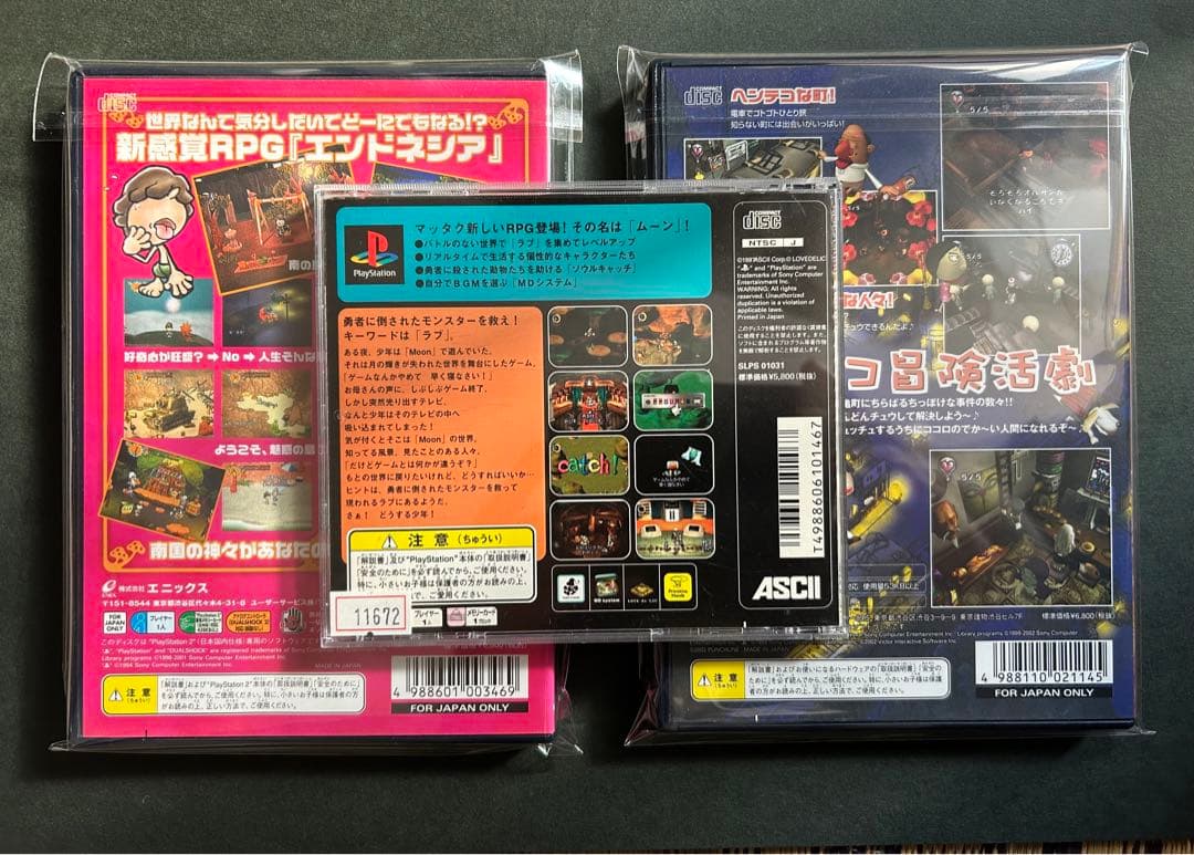 【名作】moon チュウリップ　エンドネシア