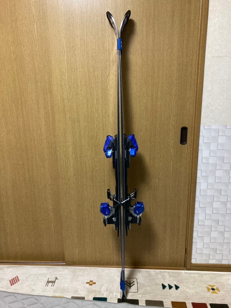 SALOMON スキー板 青