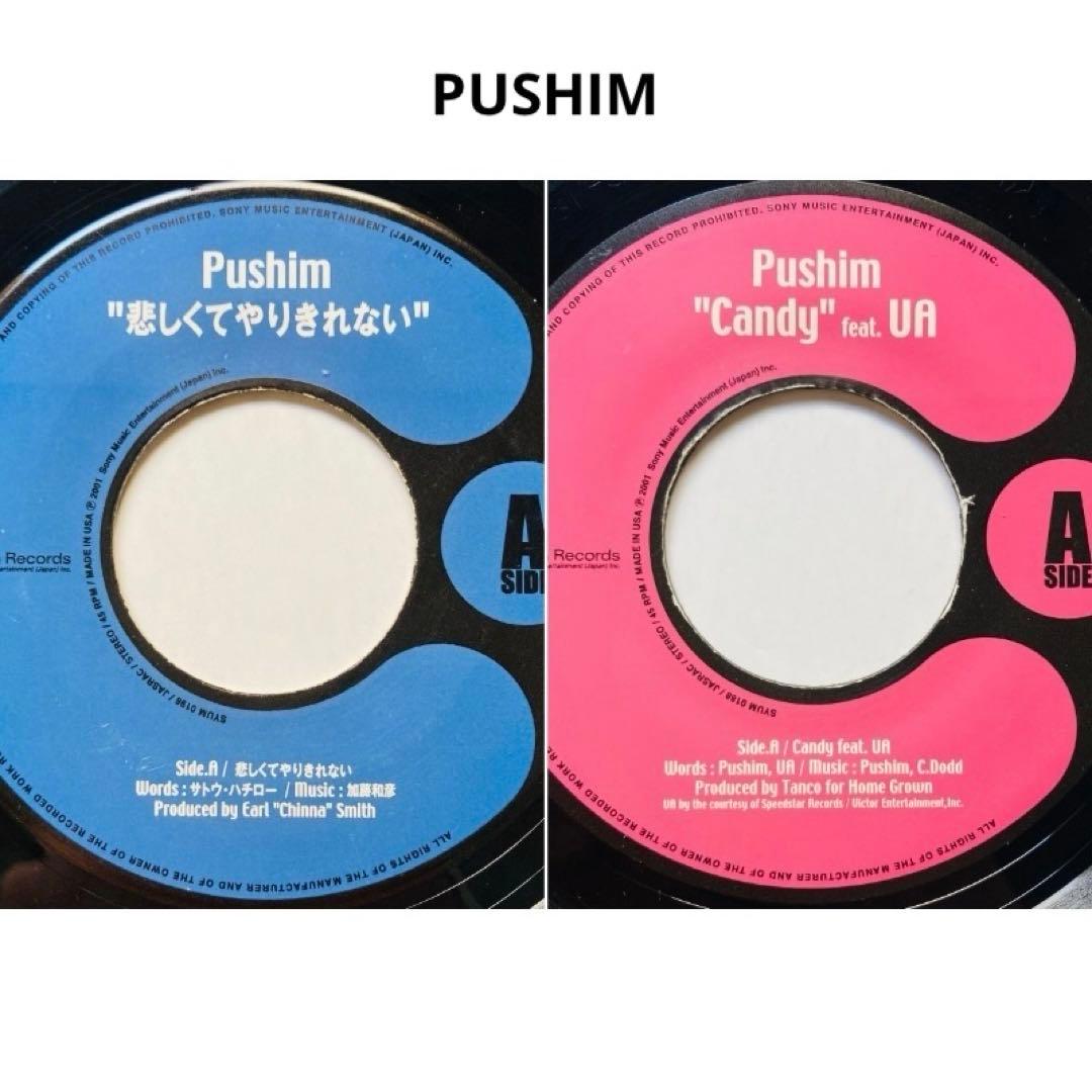 レゲエ　PUSHIM 2枚/Candy feat. UA/悲しくてやりきれない