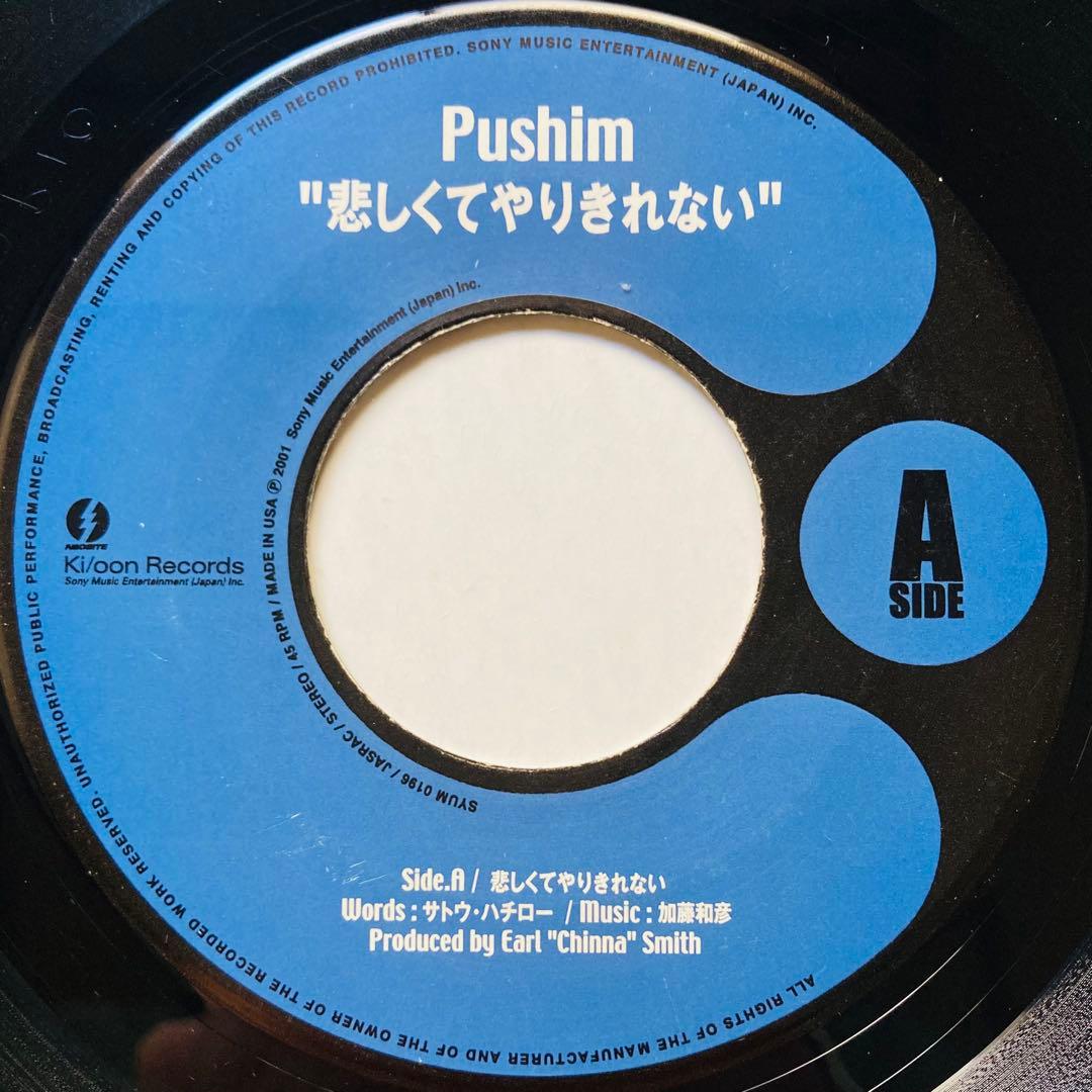 レゲエ　PUSHIM 2枚/Candy feat. UA/悲しくてやりきれない