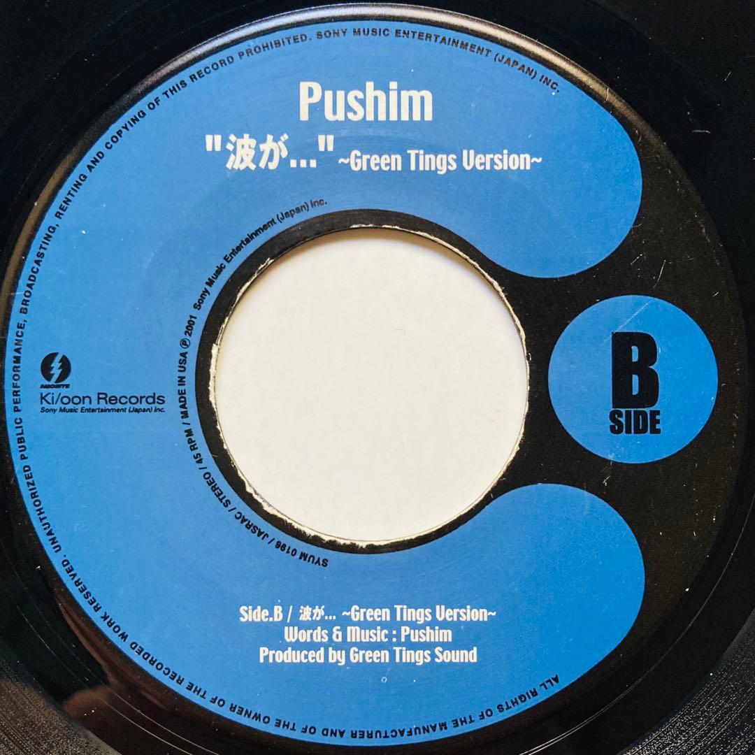 レゲエ　PUSHIM 2枚/Candy feat. UA/悲しくてやりきれない