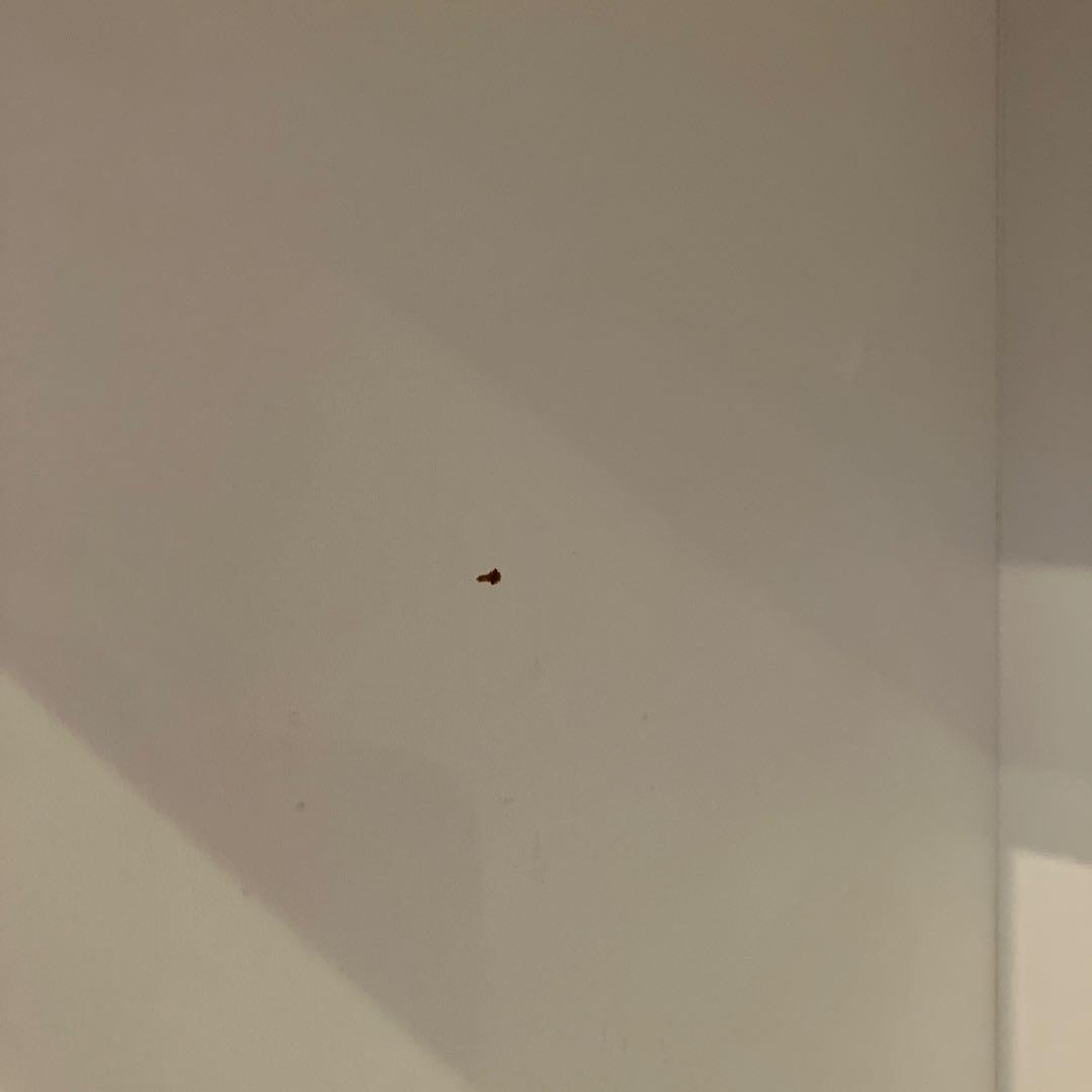 【中古・送料込み】ニトリキッチンボード　リガーレ