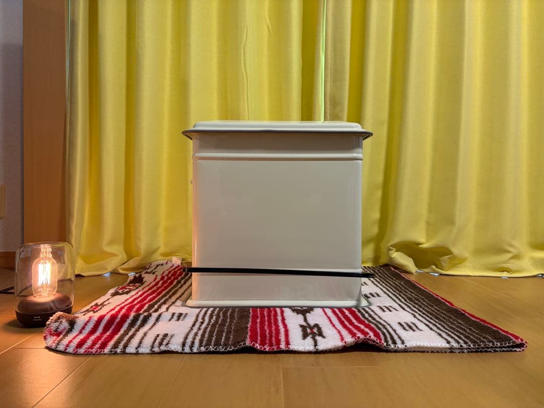 【訳あり】ダルトン DULTON STEP CAN DUAL BUCKET