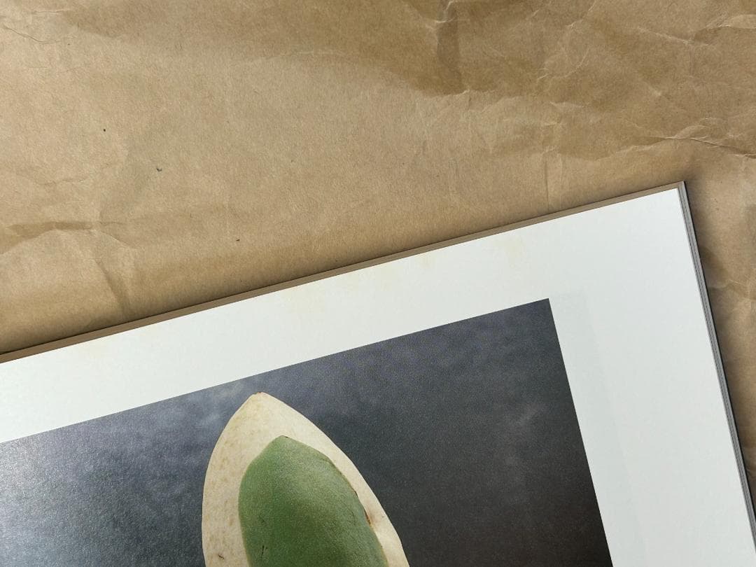 花人 中川幸夫の写真・ガラス・書　いのちのかたち　中川幸夫