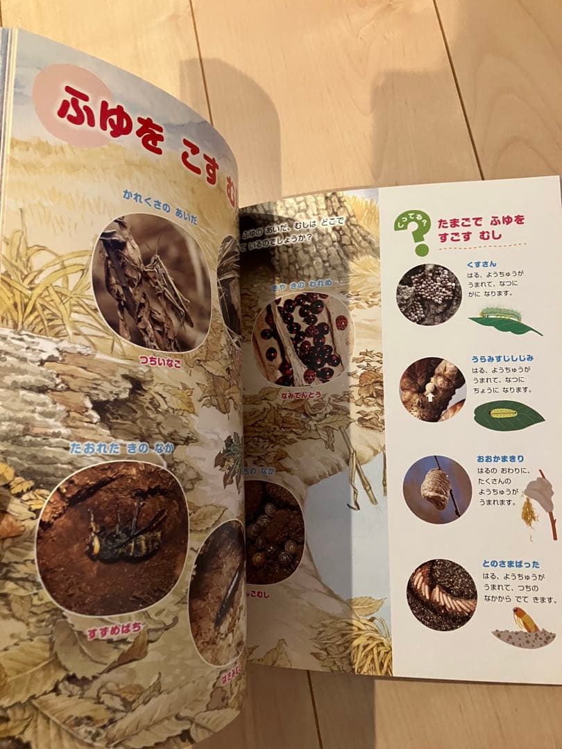 新版　ふれあいしぜん図鑑　春夏秋冬　Gakken 小学校受験　幼稚園受験　季節