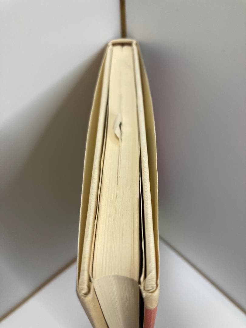 石井独眼流実戦録: かぶと町攻防四十年