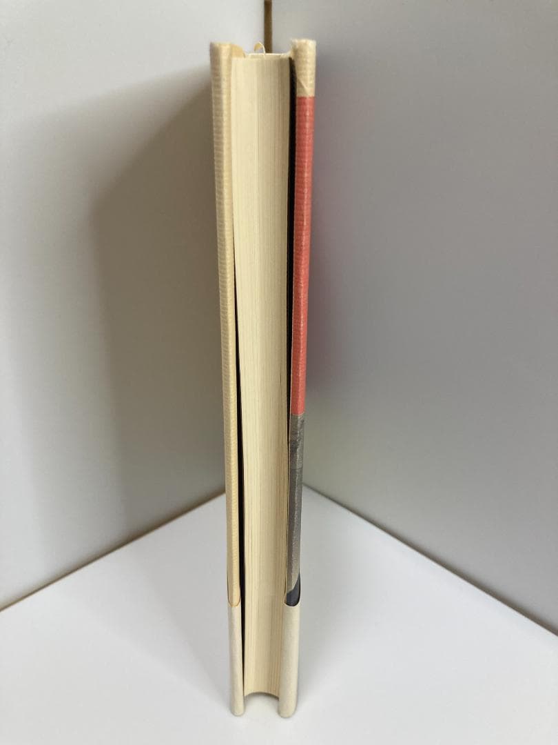 石井独眼流実戦録: かぶと町攻防四十年