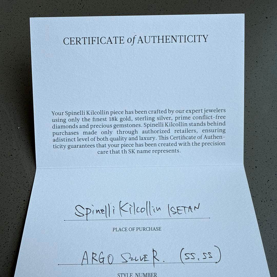 Spinelli Kilcollin ピアス 片耳 コムドット着用