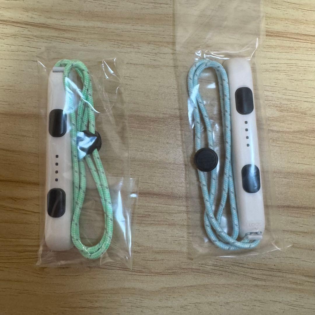 Nintendo Switch あつまれどうぶつの森セット　ソフト付