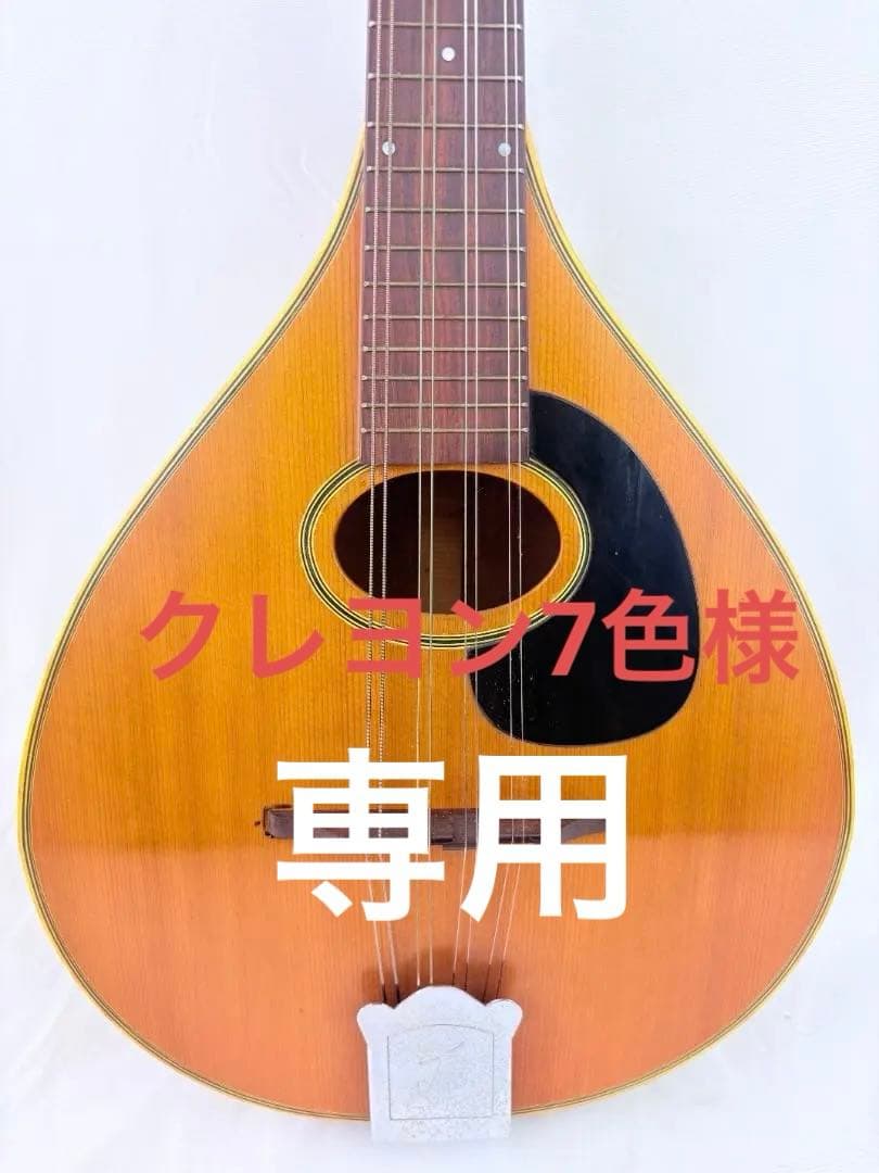 フラット マンドリン 田原楽器 TETOMAS ビンテージ