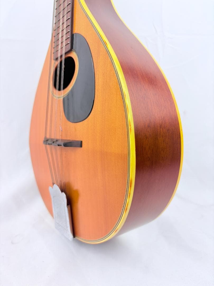 フラット マンドリン 田原楽器 TETOMAS ビンテージ