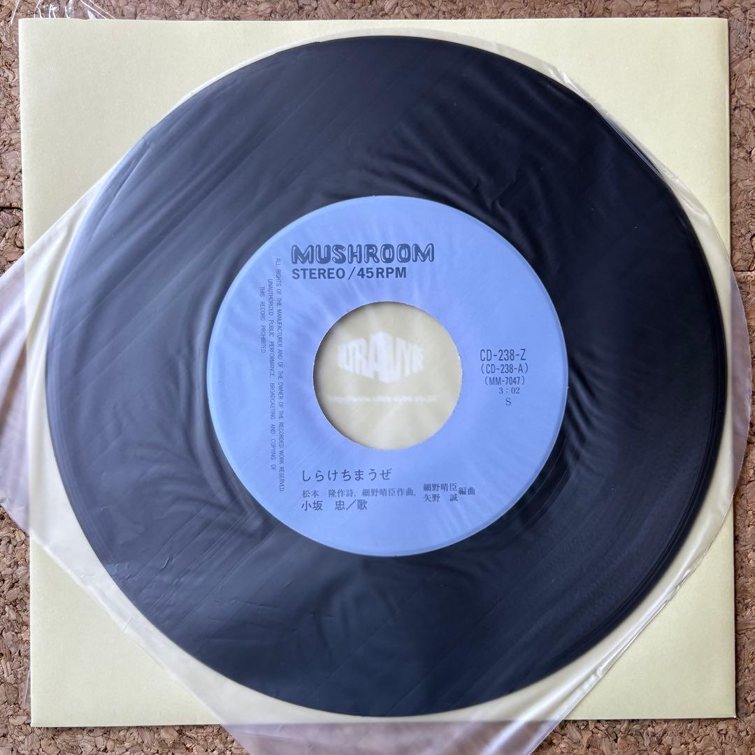 新品・和物【しらけちまうぜ/ボン・ボヤージ波止場・小坂 忠】7インチ