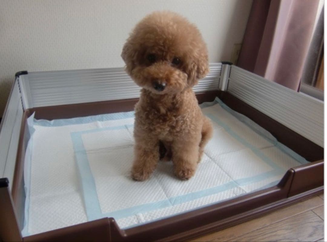 犬　トイレトレー　ワイド　はみ出し防止　犬用トイレ　大型犬　PEPPY ペピー