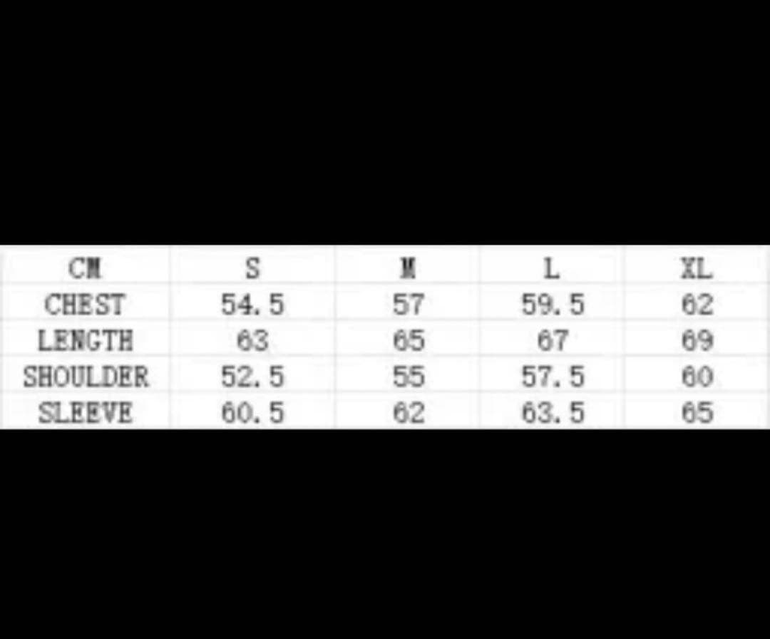 flexwitme ポロシャツ デスパイネ