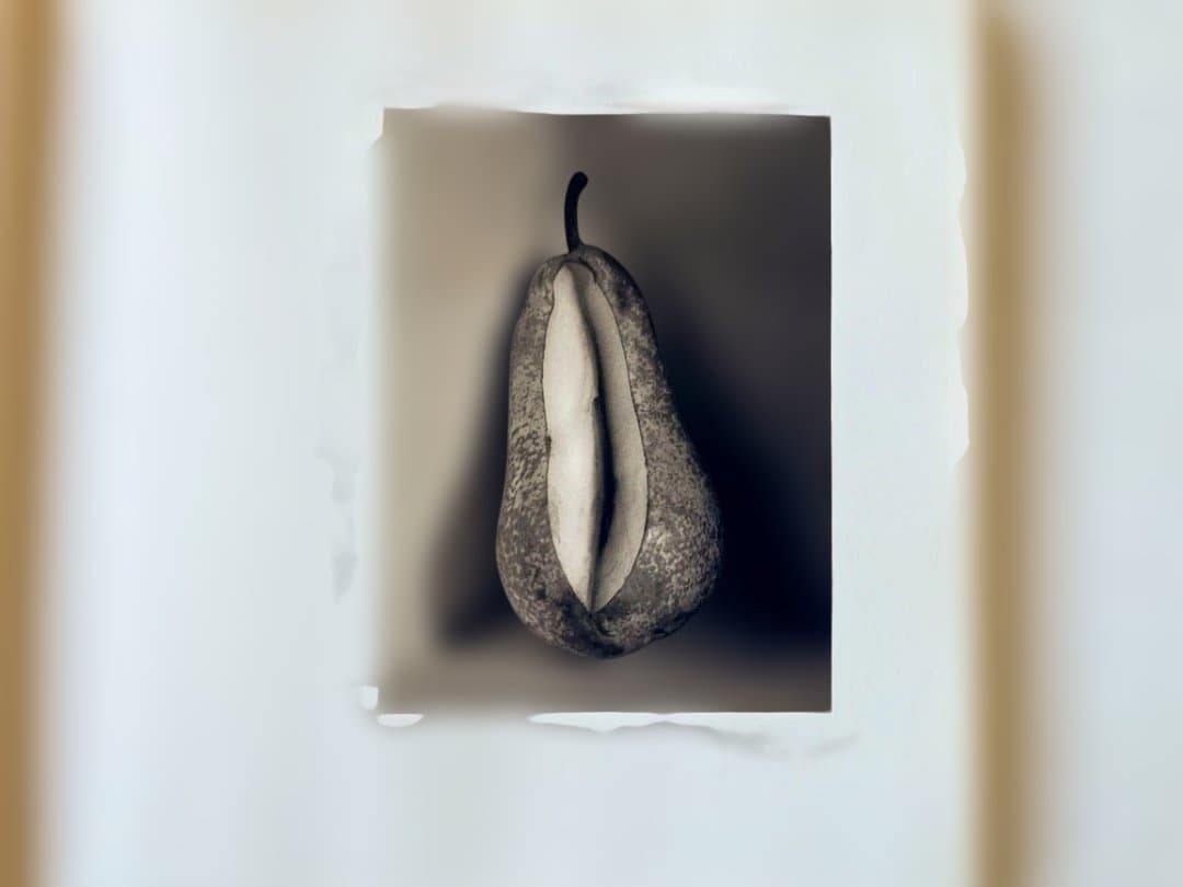 FLOR GARDUÑO INNER LIGHT