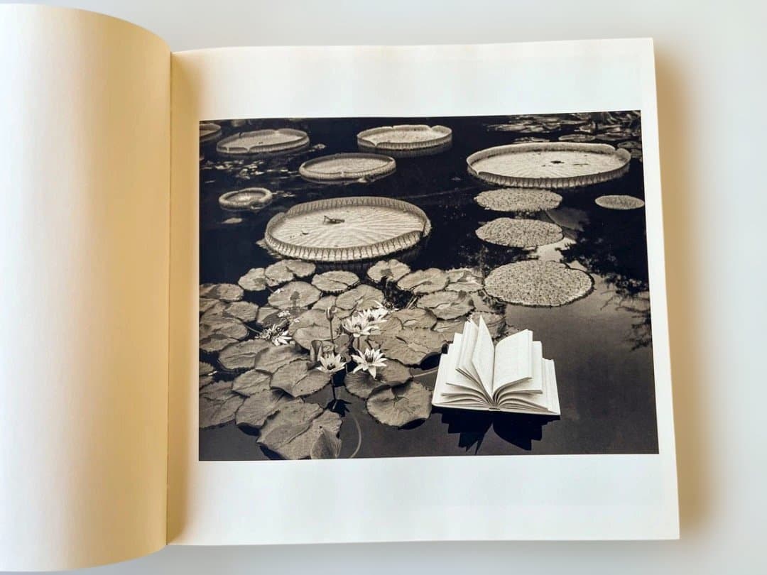 FLOR GARDUÑO INNER LIGHT