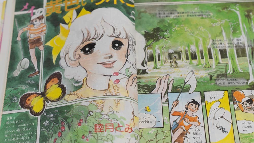 サンリオ リリカ 1977年6月 No8 わか葉の号 全ページカラー