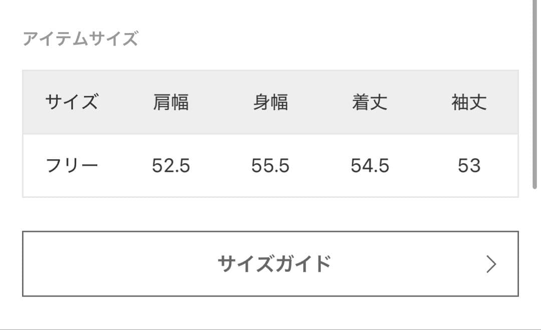 champion スローブイエナ別注　無地ガゼットスウェット