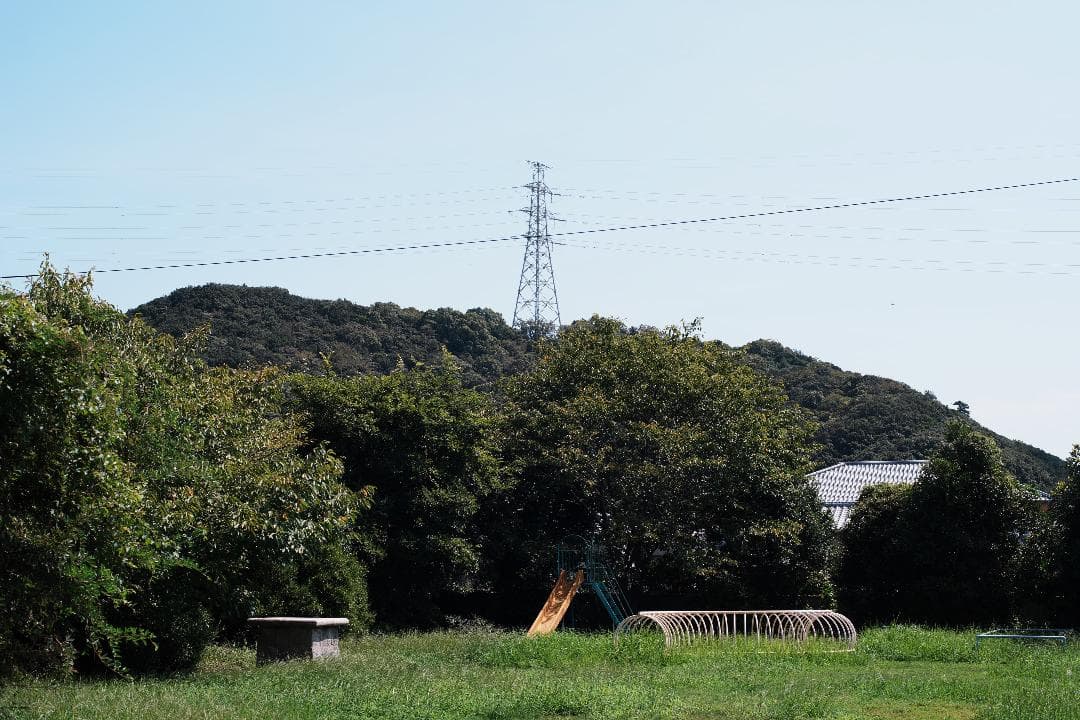 整＆テ済 Carl Zeiss Planar 50mm F1.4 AEJ 783