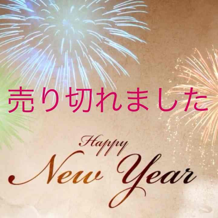 PS3ソフト 戦国無双2 HDver 美品✨