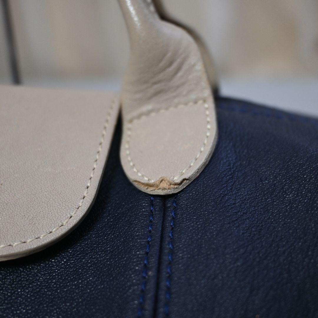 589★ LONGCHAMP 2way バッグ ルプリアージュ キュイール