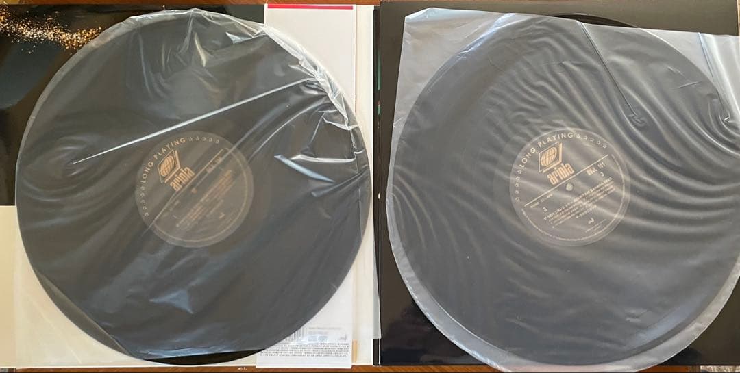 ザ・クロマニヨンズ ツアー MOUNTAIN BANANA 2023 生産限定盤