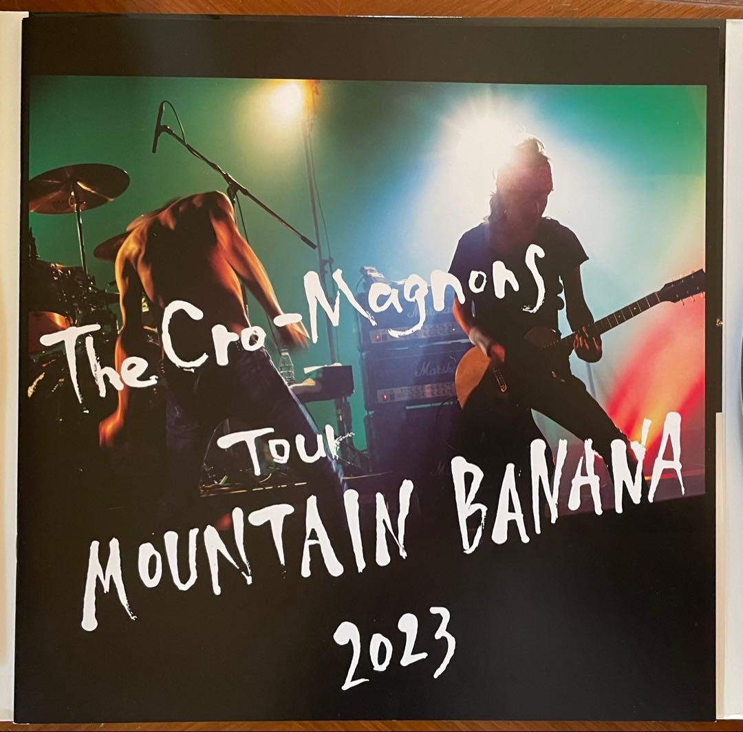 ザ・クロマニヨンズ ツアー MOUNTAIN BANANA 2023 生産限定盤
