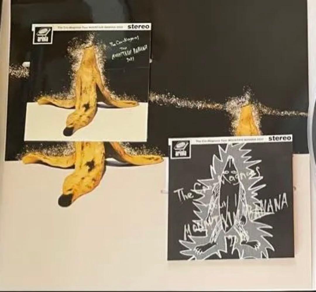ザ・クロマニヨンズ ツアー MOUNTAIN BANANA 2023 生産限定盤