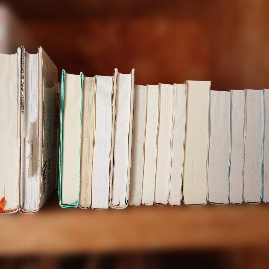 富士山【高学年～】くもん推薦図書など　児童書まとめ売り30冊　小説