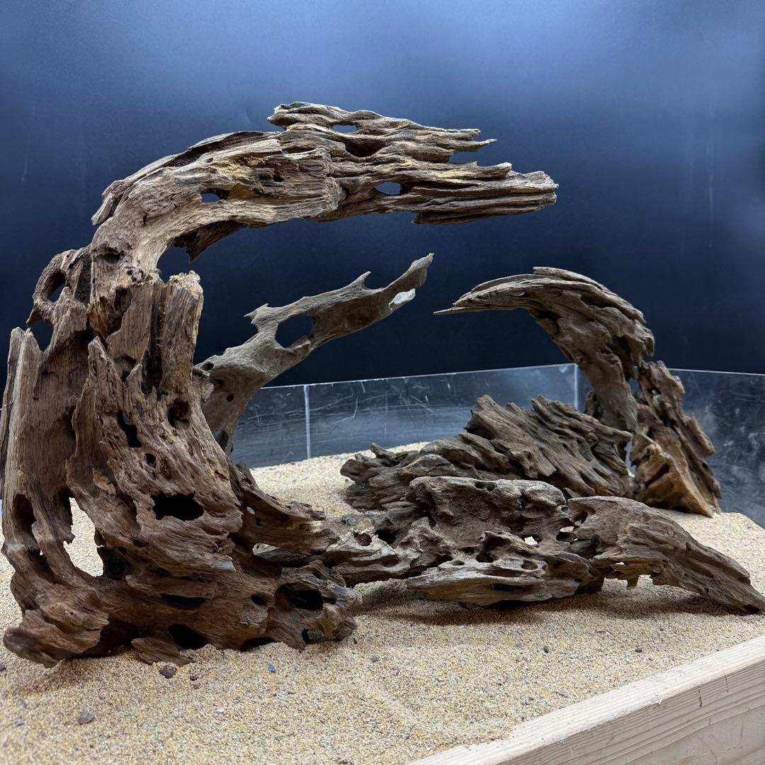 MMW-7138 マシンガンウッド　レイアウトセット　流木　アクアリウム