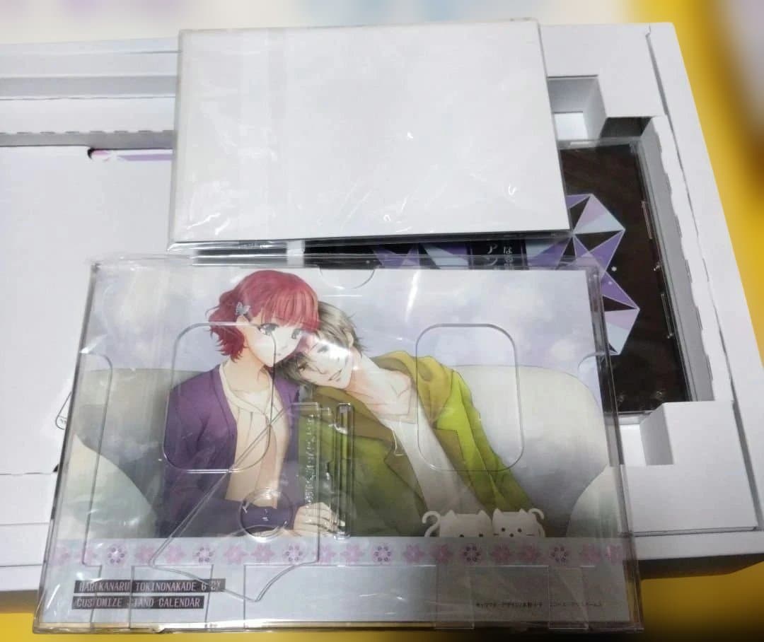 Switchソフト 限定版 遙かなる時空の中で6 DX その先の未来へBOX