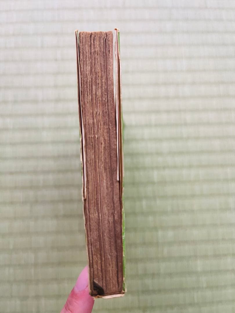 『わが子は殺人者』 パトリック・クェンティン 創元推理文庫