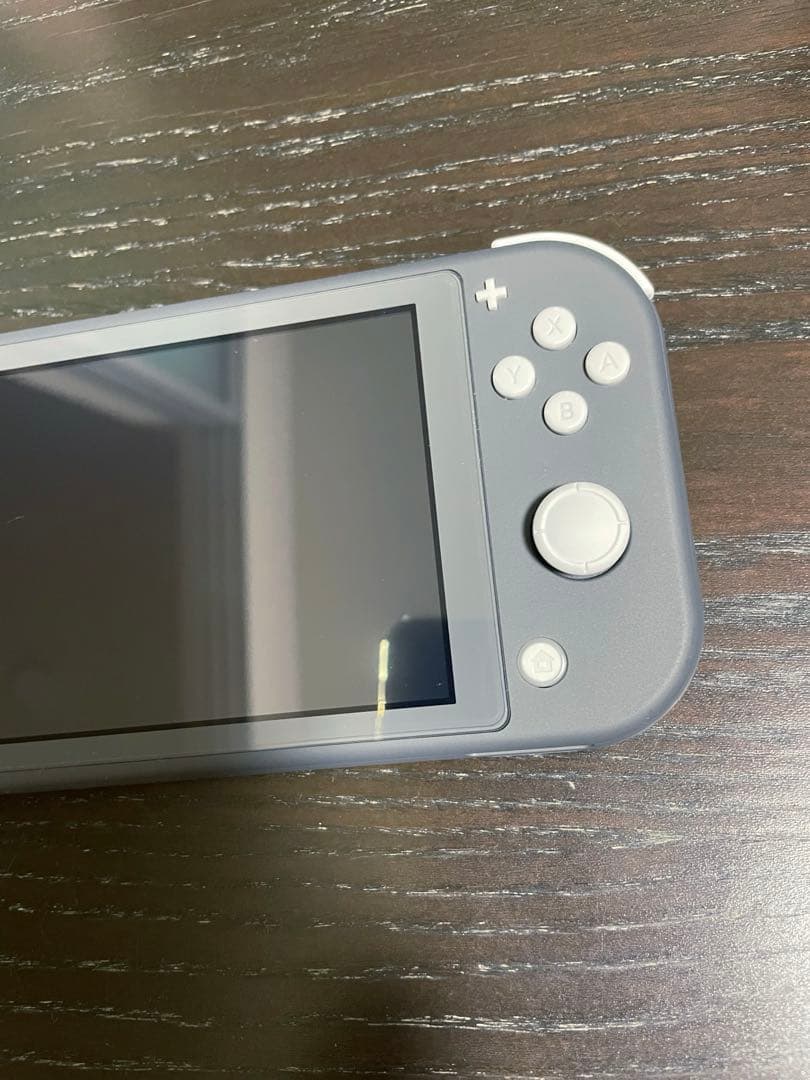 Nintendo switch Lite グレー　本体 充電器 ケース3点セット