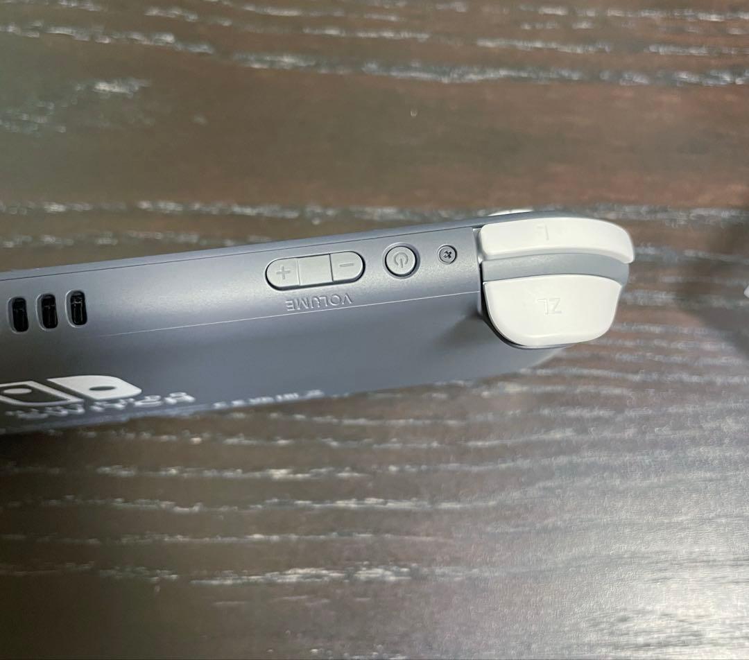 Nintendo switch Lite グレー　本体 充電器 ケース3点セット