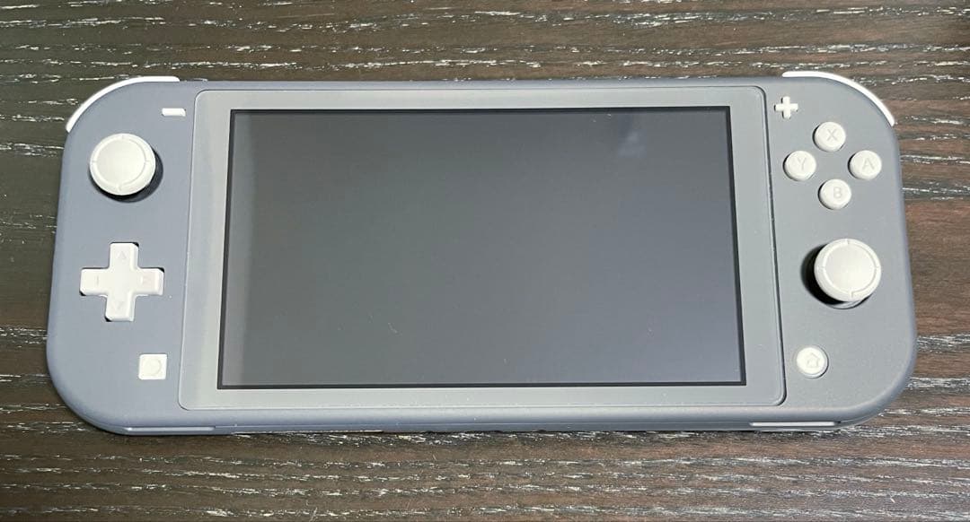 Nintendo switch Lite グレー　本体 充電器 ケース3点セット