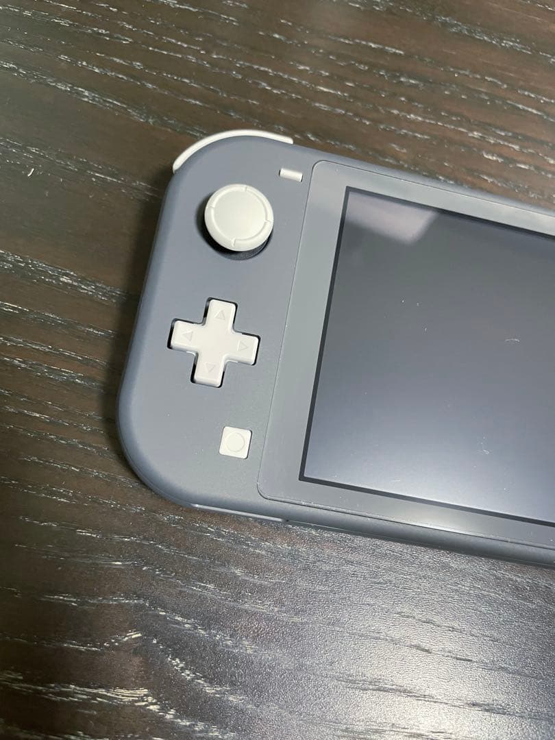 Nintendo switch Lite グレー　本体 充電器 ケース3点セット